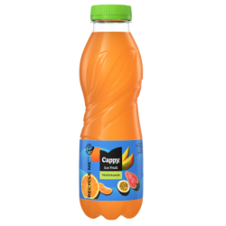 Cappy Ice Fruit 0,5L multivitamine
